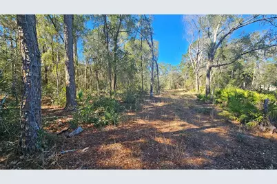 43734 West Lane, Paisley, FL 32767 - Photo 21