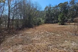 43734 West Ln, Paisley, FL 32767 - Photo 21