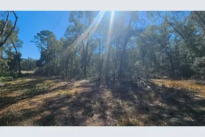 43734 West Lane, Paisley, FL 32767 - Photo 23