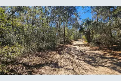 43734 West Lane, Paisley, FL 32767 - Photo 25