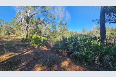 43734 West Lane, Paisley, FL 32767 - Photo 23