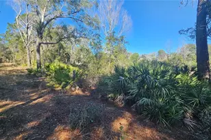 43734 West Ln, Paisley, FL 32767 - Photo 23