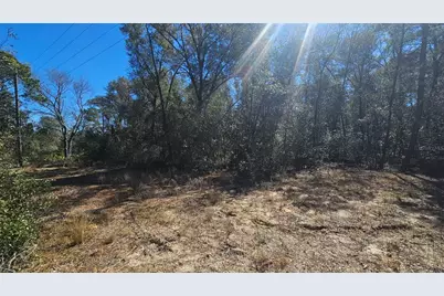 43734 West Lane, Paisley, FL 32767 - Photo 25