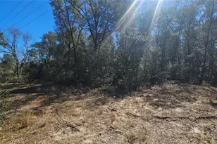 43734 West Ln, Paisley, FL 32767 - Photo 25