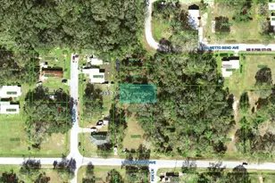 Little Orange Ave, Mulberry, FL 33860 - Photo 1