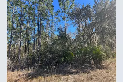 Grace Avenue, Deland, FL 32720 - Photo 3