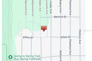 Waldor Ave, Orange City, FL 32763 - Photo 1