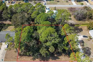 2904 India Palm Dr, Edgewater, FL 32141 - Photo 1