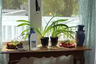 416 W Howry, Deland, FL 32720 - Photo 11