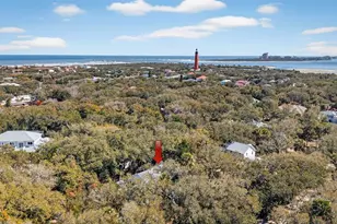 4875 Sailfish Dr, Ponce Inlet, FL 32127 - Photo 57