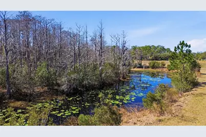 4503 Colony Road, New Smyrna Beach, FL 32168 - Photo 31