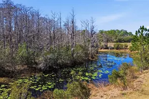 4503 Colony Rd, New Smyrna Beach, FL 32168 - Photo 31