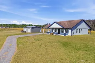 4503 Colony Rd, New Smyrna Beach, FL 32168 - Photo 3