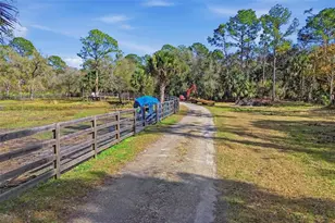 539 Tabatha Dr, Osteen, FL 32764 - Photo 13
