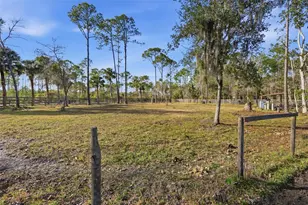 539 Tabatha Dr, Osteen, FL 32764 - Photo 17