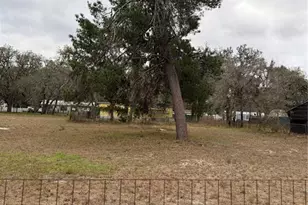 12013 Bethwood Ave, New Port Richey, FL 34654 - Photo 11