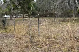 12013 Bethwood Ave, New Port Richey, FL 34654 - Photo 7