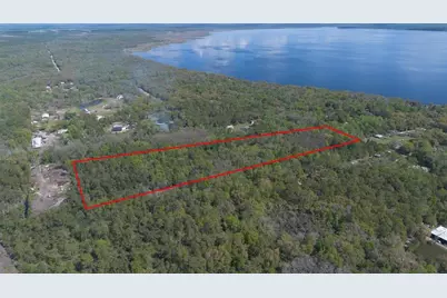 Jungle Road, Geneva, FL 32732 - Photo 3