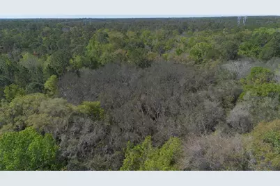 Jungle Road, Geneva, FL 32732 - Photo 21