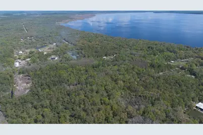 Jungle Road, Geneva, FL 32732 - Photo 13