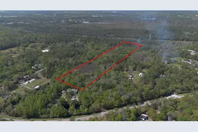 Jungle Road, Geneva, FL 32732 - Photo 9