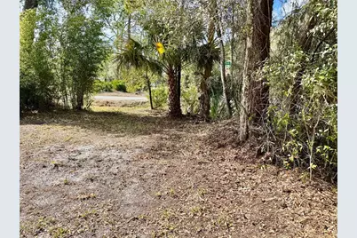 2510 Dahlia Road, Deland, FL 32724 - Photo 7