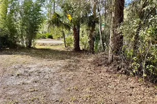 2510 Dahlia Rd, Deland, FL 32724 - Photo 7