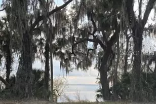 120 Hibiscus Woods Ct, Deltona, FL 32725 - Photo 19