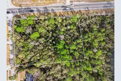 0 Lake Helen Osteen Road, Deltona, FL 32738 - Photo 1