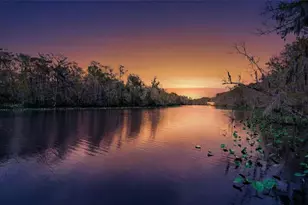 6595 Collier Rd, Saint Augustine, FL 32092 - Photo 1