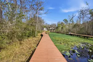 6595 Collier Rd, Saint Augustine, FL 32092 - Photo 89