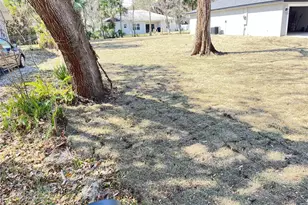 2300 Lime Tree Dr, Edgewater, FL 32141 - Photo 19