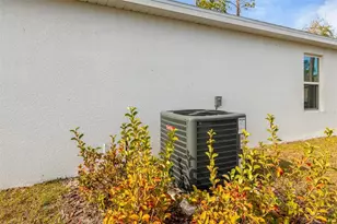 17 Birchwood Pl, Palm Coast, FL 32137 - Photo 31