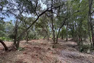 Spring Garden Ranch Rd, De Leon Springs, FL 32130 - Photo 1