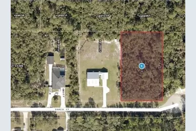 Dahlia Court, Eustis, FL 32736 - Photo 1