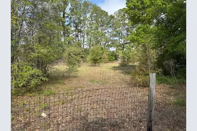 2551 SW 107th Place, Ocala, FL 34476 - Photo 5