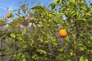 102 Lake Charles Rd, Deland, FL 32724 - Photo 25