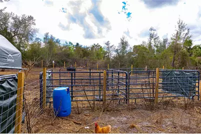 150 Catalina Drive, Debary, FL 32713 - Photo 11