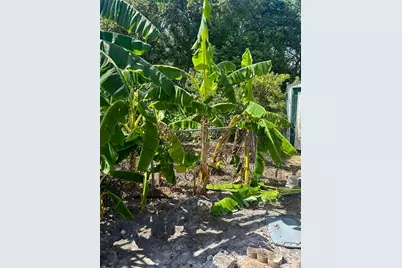 150 Catalina Drive, Debary, FL 32713 - Photo 17