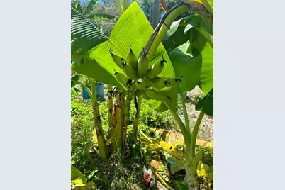 150 Catalina Drive, Debary, FL 32713 - Photo 15