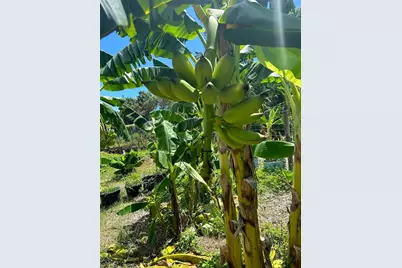 150 Catalina Drive, Debary, FL 32713 - Photo 13