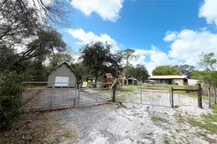 4539 Sue St, De Leon Springs, FL 32130 - Photo 13