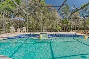 3402 Black Willow Trail, Deland, FL 32724 - Photo 39