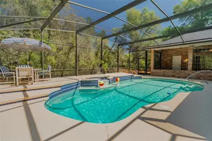 3402 Black Willow Trail, Deland, FL 32724 - Photo 41