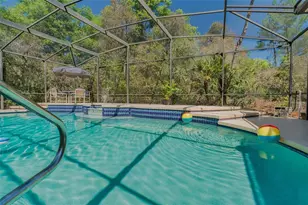 3402 Black Willow Trail, Deland, FL 32724 - Photo 35