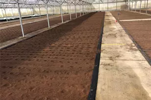 1065 S Massachusetts Ave, Deland, FL 32724 - Photo 39