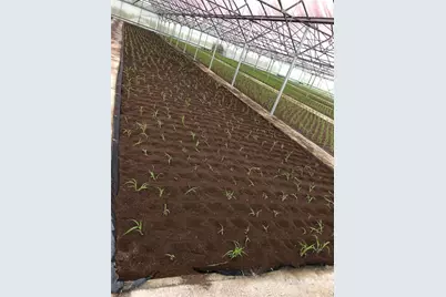 1065 S Massachusetts Avenue, Deland, FL 32724 - Photo 41