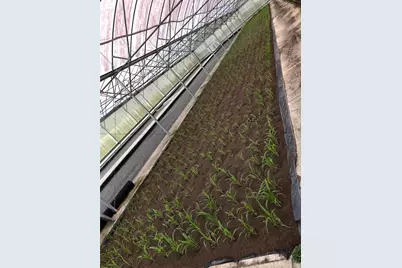 1065 S Massachusetts Avenue, Deland, FL 32724 - Photo 37