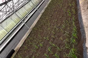 1065 S Massachusetts Ave, Deland, FL 32724 - Photo 37