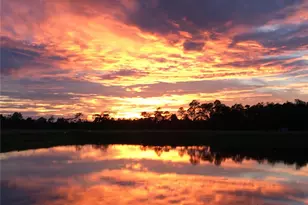 1346 Eggleston Dr, Deland, FL 32724 - Photo 47